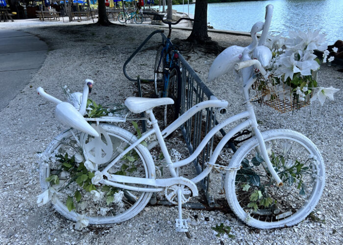 The Pure White Bayfront Bike